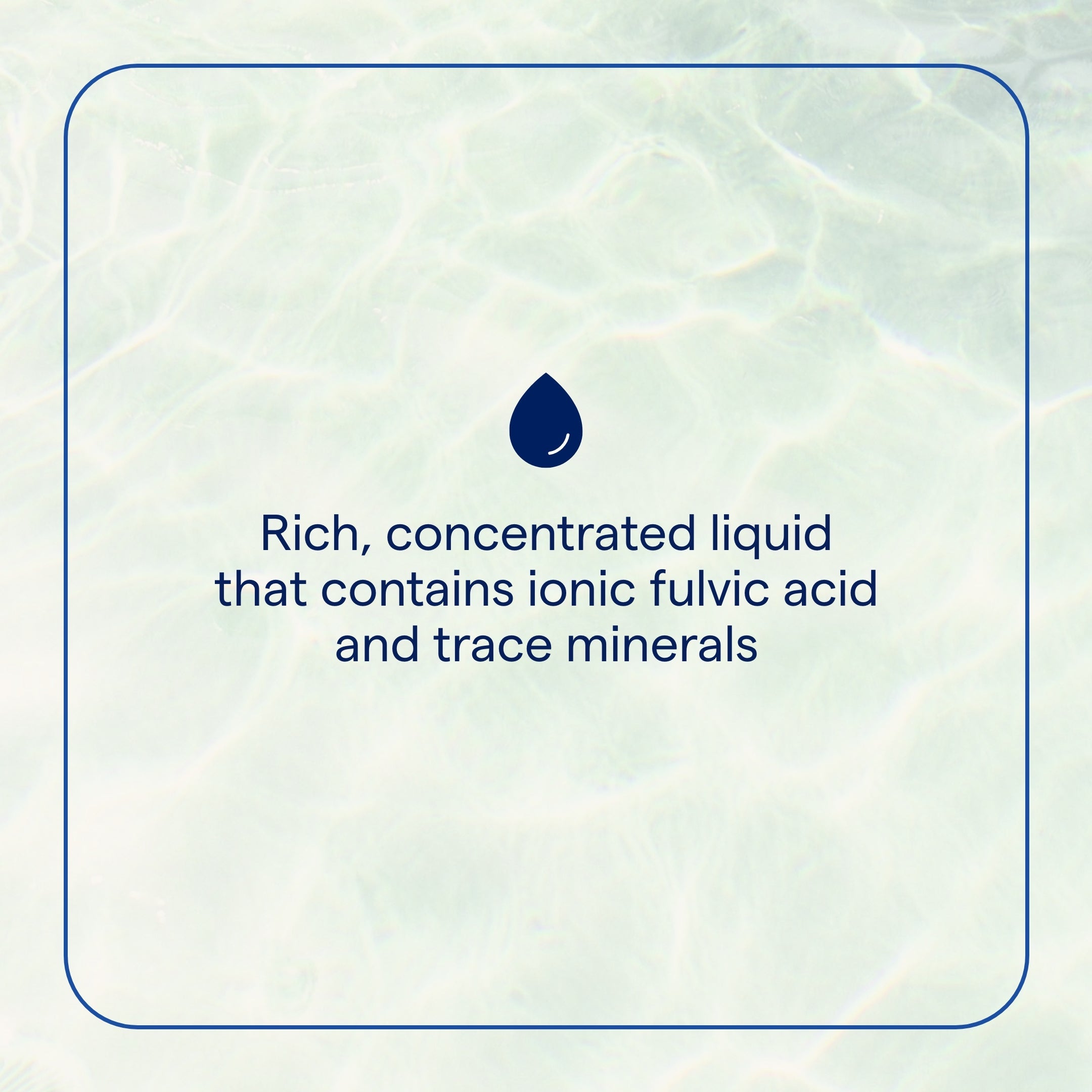 Ionic Fulvic Acid